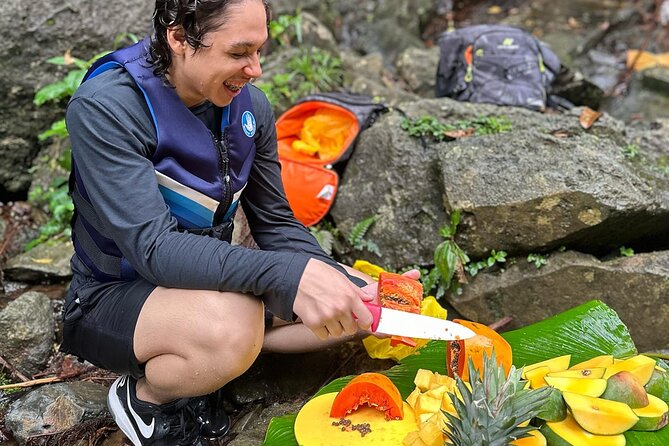 El Yunque Tour with Luquillo Lunch Stop and Transport: 6 ppl Max - Who Should Book This Outing