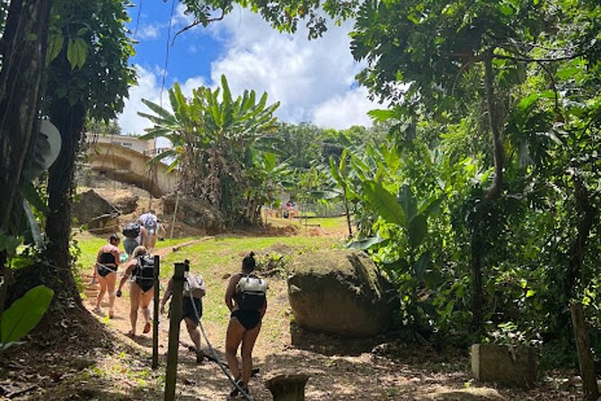 El Yunque Waterslide and Waterfall Tour with Food and Photos - The hike requires more care than the word short suggests