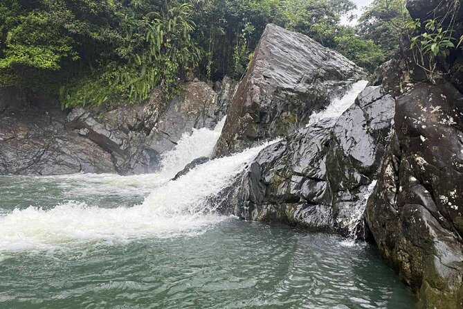 El Yunque Waterslides, Jumps, swing! small business owner:) - Key points to know before booking