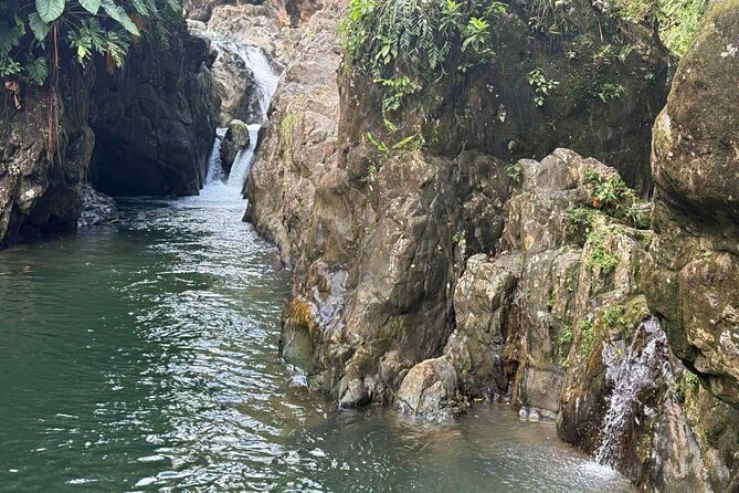 El Yunque Waterslides, Jumps, swing! small business owner:) - The natural waterslide