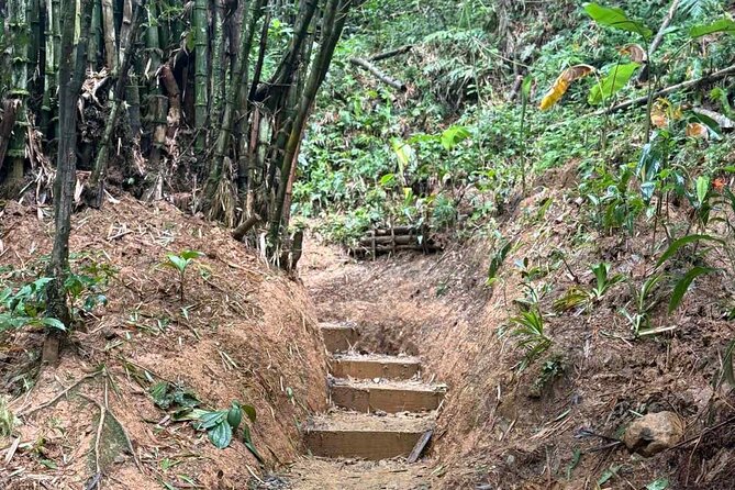El Yunque Waterslides, Jumps, swing! small business owner:) - A guide who keeps the outing personal