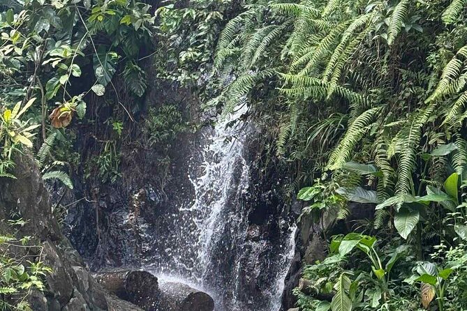 El Yunque Waterslides, Jumps, swing! small business owner:) - Who will enjoy this El Yunque outing