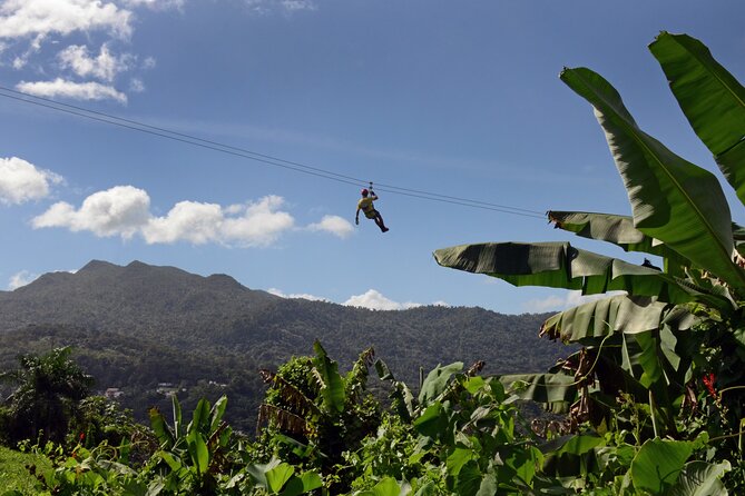 El Yunque Ziplining in Puerto Rico - Key points to know before you book