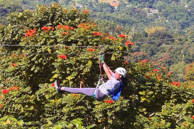 El Yunque Ziplining in Puerto Rico - What the two-hour schedule feels like