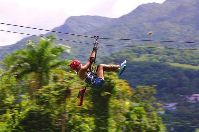 El Yunque Ziplining in Puerto Rico - Who will enjoy this El Yunque activity most?