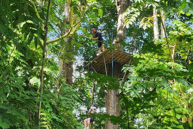 El Yunque Ziplining with River and Beach Visit - Luquillo Beach and the kiosk stop
