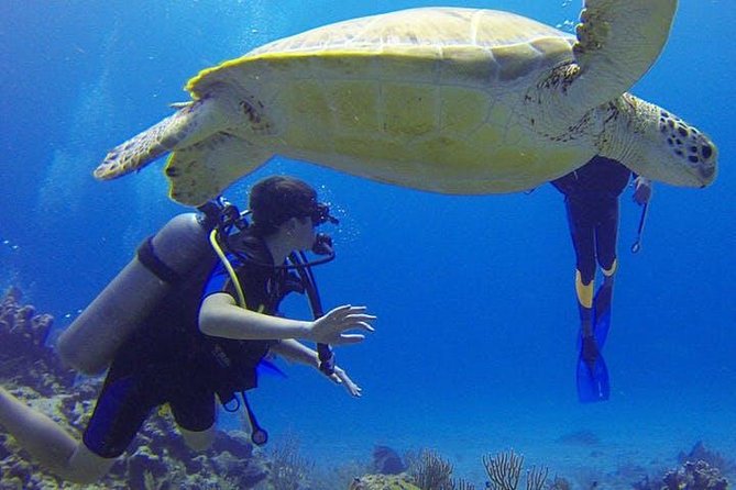 Experience Scuba Diving / NO certification Needed - Entering from the beach instead of using a boat