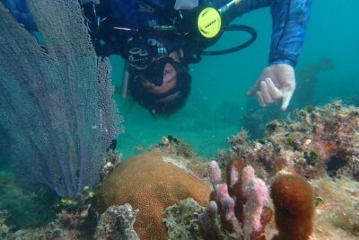 Experience Scuba Diving / NO certification Needed