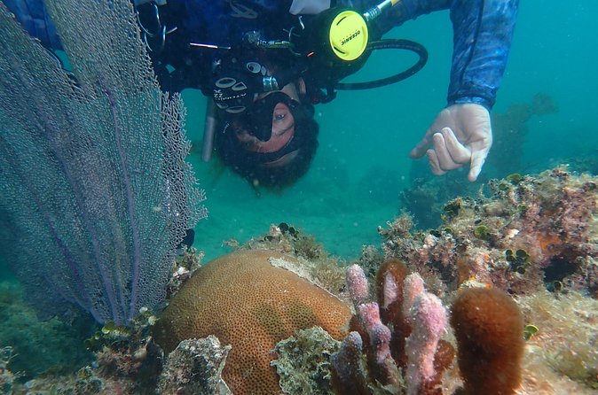 Experience Scuba Diving / NO certification Needed - What to bring and what to tell the operator