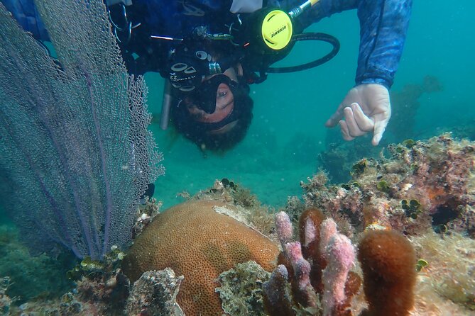 Experience Scuba Diving / NO certification Needed - Why a small shore group makes a difference