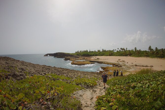 Explore Cueva del Indio + La Poza del Obispo Beach - Puerto Rican food trucks in Arecibo