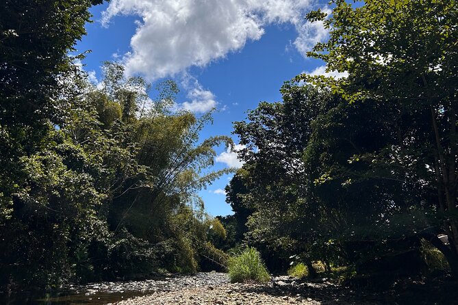 Explore El Yunque: Hiking, Swings & Waterslide (Small Group) - What is included for $40