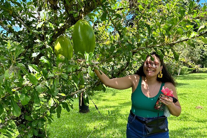 Explore Indigenous Roots, Experience a day in the life of a Taíno - Who should book this experience?