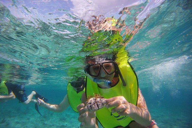 Fajardo Afternoon Snorkeling Adventure Tour - Reaching the Cayos de la Cordillera Nature Reserve