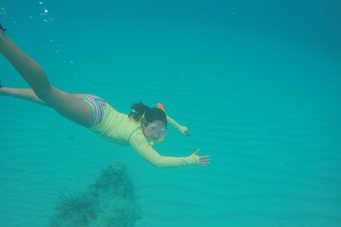 Fajardo Afternoon Snorkeling Adventure Tour - Marine life, coral, and realistic expectations