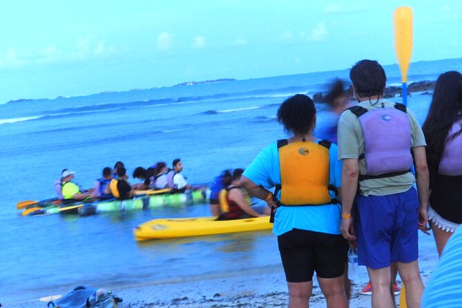 Fajardo Bioluminescent Bay Night Kayak Adventure from San Juan - Seeing the bioluminescence under the stars