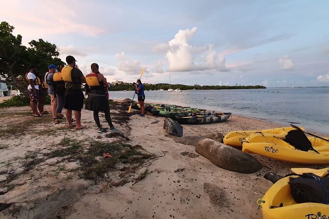 Fajardo Bioluminescent Bay Night Kayak Adventure from San Juan - Guides, safety, and the group problem