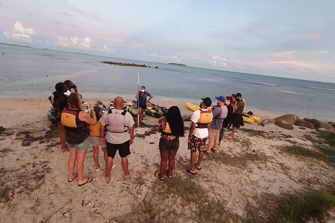 Fajardo Bioluminescent Bay Night Kayak Adventure from San Juan - Is $109 a fair price from San Juan?