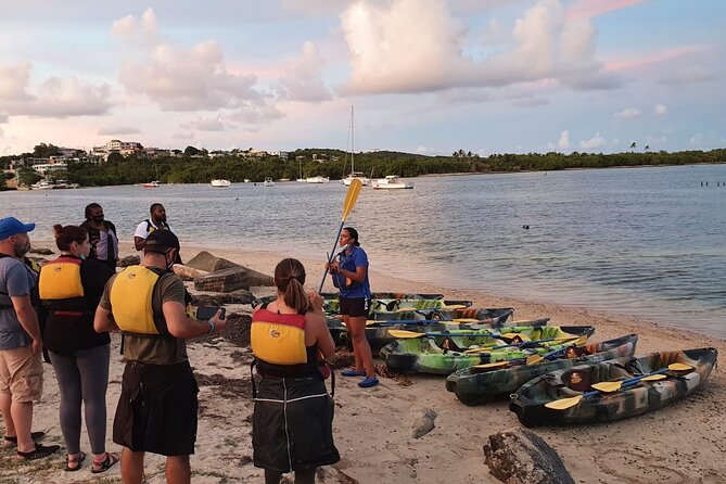 Fajardo Bioluminescent Bay Night Kayak Adventure from San Juan - From San Juan to Fajardo: allow most of the evening