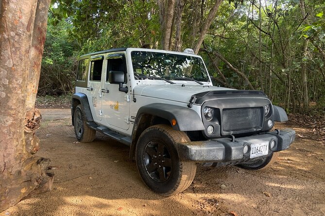 Fajardo Ceiba Ferry Marina Taxi to San Juan Taxi Transportation - Key points to know before booking