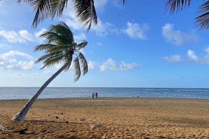 Fajardo Ceiba Ferry Marina Taxi to San Juan Taxi Transportation - Direct transfer or scenic route?