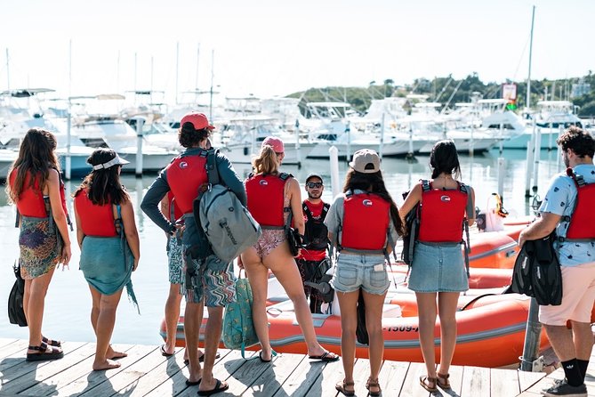 Fajardo Mini Boat Snorkel Safari - Who should book this adventure