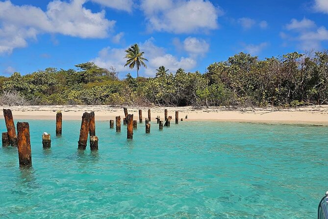 Fajardo Puerto Rico Private Boat Tour to Cayo Icacos - What the four hours at Icacos can include