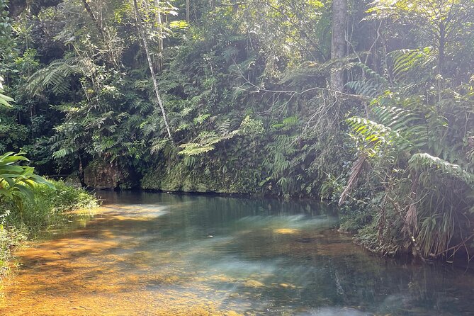Famous Guavate Pork Road & Charco Azul Food & River Tour - Is $110 a fair price?
