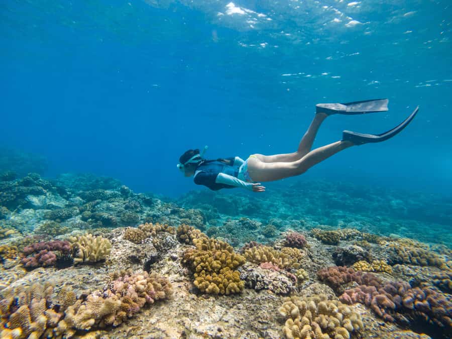From Fajardo: Boat and Snorkeling in Culebra Island with All-Inclusive - Key points before you book