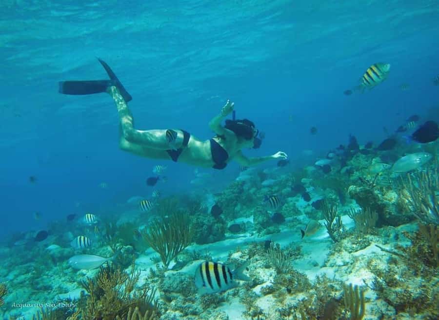 From Fajardo: Boat and Snorkeling in Culebra Island with All-Inclusive - What the six-hour schedule really gives you