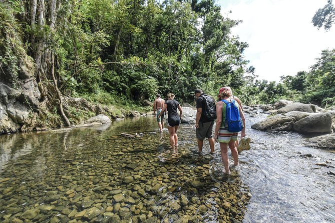 From San Juan: El Yunque Rainforest Hiking Adventure - The 30-minute walk to the first pool