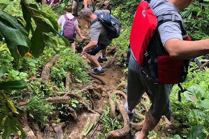 From San Juan: El Yunque Rainforest Hiking Adventure - A long day from San Juan, with lunch late in the schedule