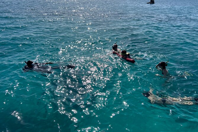 Full Charter All Inclusive for Icacos and Palomino - Booking timing and cancellation