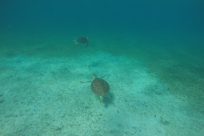 Full Day Charter from Fajardo to Culebra - Honeymoon Beach and the long afternoon pause