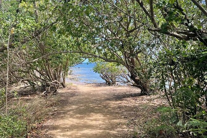 Full Day Eastern Island Tour - Why this eastern Puerto Rico day works