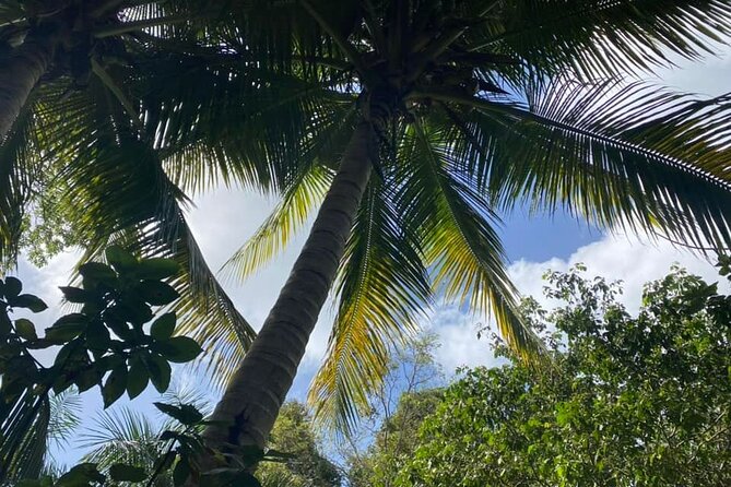 Full Day Eastern Island Tour - Loíza and Afro-Puerto Rican culture