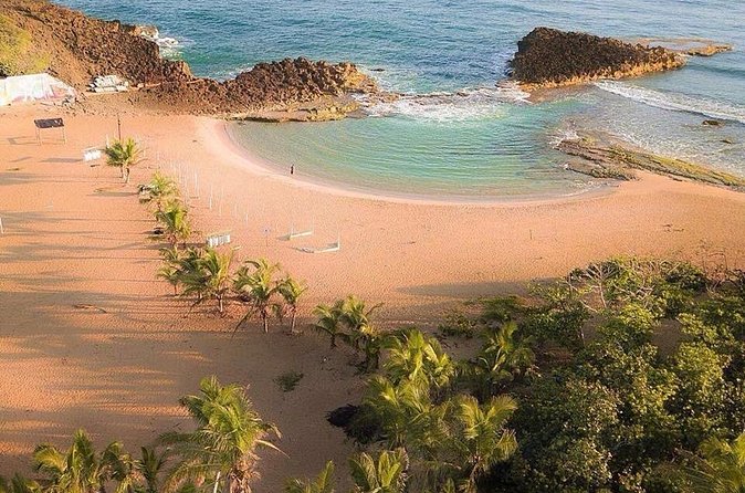 Full-Day Gozalandia Private Tour in Puerto Rico - Is $1,050 good value for your group?