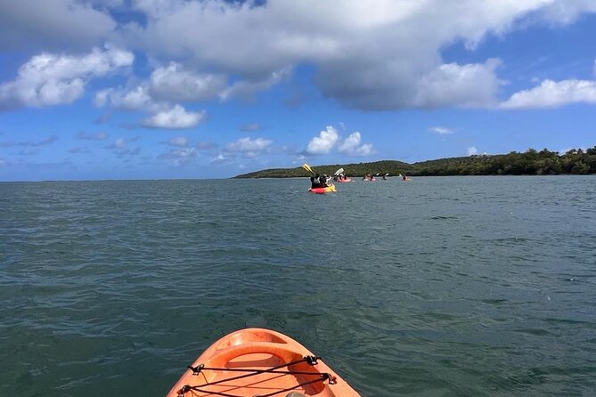 Full-Day Kayak Adventure – Explore Fajardo’s Crystal-Clear Waters - What the Equipment Includes