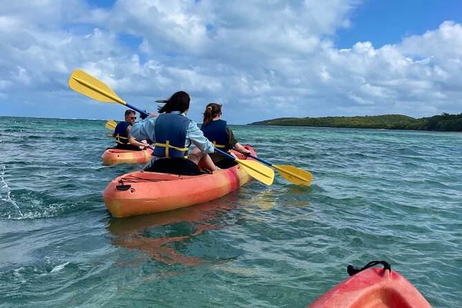 Full-Day Kayak Adventure – Explore Fajardo’s Crystal-Clear Waters - Booking, Timing, and Cancellation Details