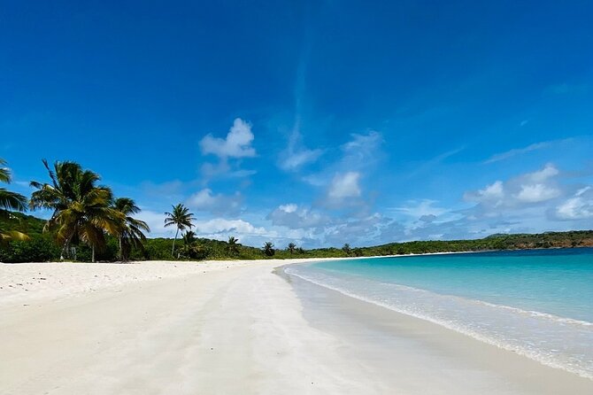 Full Day Private Boat Tour To Culebra - Who will enjoy this private Culebra day?