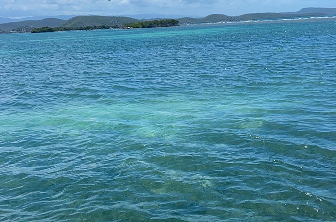 Full-Day Private Cruise in Cayo Caracoles - The fish and the right way to snorkel