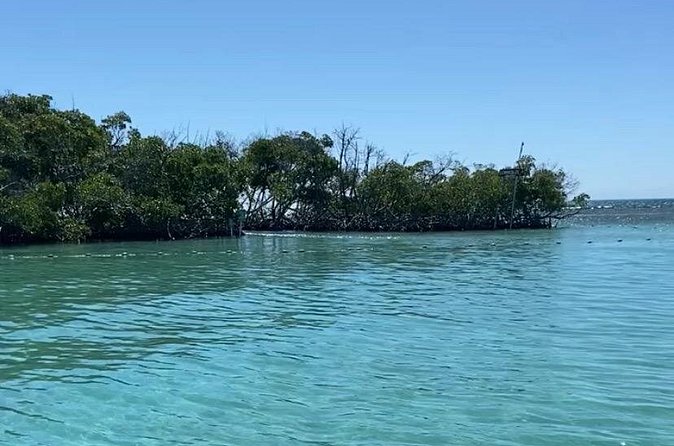 Full-Day Private Cruise in Cayo Caracoles - Service from Mareaito Charters