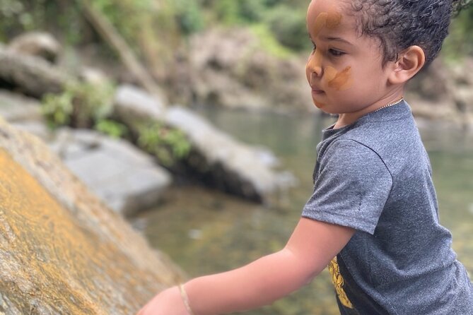 Full-Day Private Tour to Tinajas Waterfalls in El Yunque - Is $700 a good value for four people?