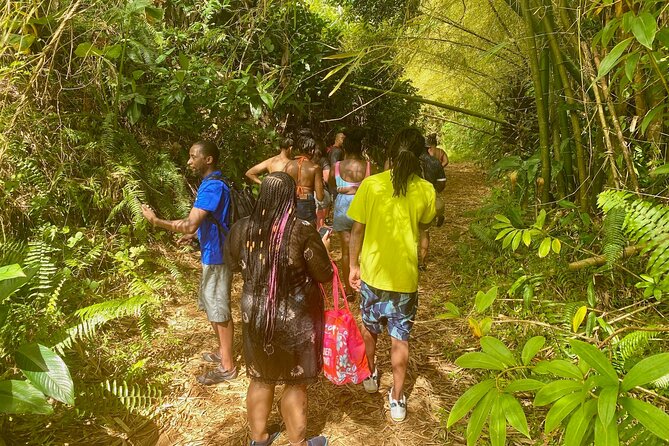 Full-Day Private Tour to Tinajas Waterfalls in El Yunque - Practical details that affect your day