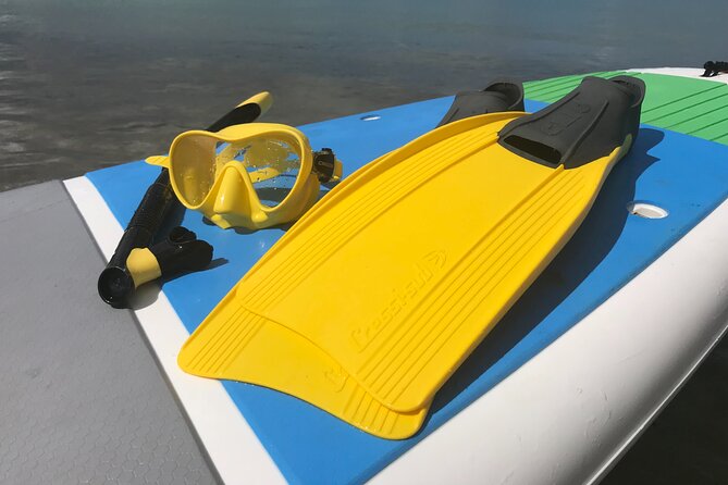 Full-Day Snorkeling Gear Rental in Puerto Rico - Starting at Pirate Snorkeling Shack in Fajardo