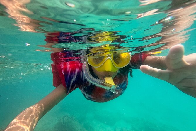 Full-Day Snorkeling Gear Rental in Puerto Rico - Why the map and marine-life card matter