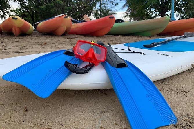 Full-Day Snorkeling Gear Rental in Puerto Rico - A small group, but not a guided swim