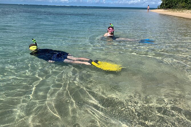 Full-Day Snorkeling Gear Rental in Puerto Rico - Who will get the most from this experience