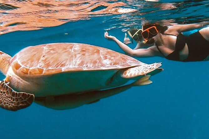Full-Day Snorkeling Tour to Culebra Island with Lunch - How the $168.37 price measures up