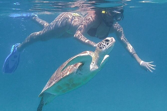 Full-Day Snorkeling Tour to Culebra Island with Lunch - Who will enjoy this Culebra outing most